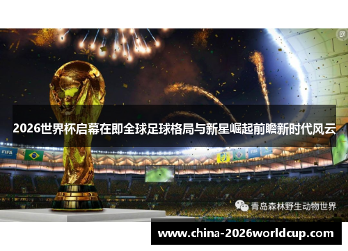 2026世界杯启幕在即全球足球格局与新星崛起前瞻新时代风云