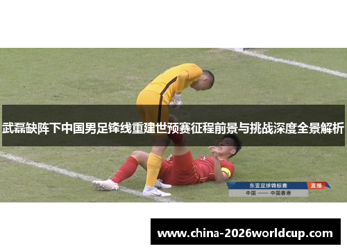 武磊缺阵下中国男足锋线重建世预赛征程前景与挑战深度全景解析