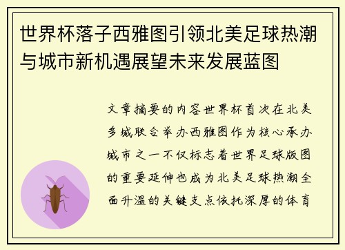 世界杯落子西雅图引领北美足球热潮与城市新机遇展望未来发展蓝图